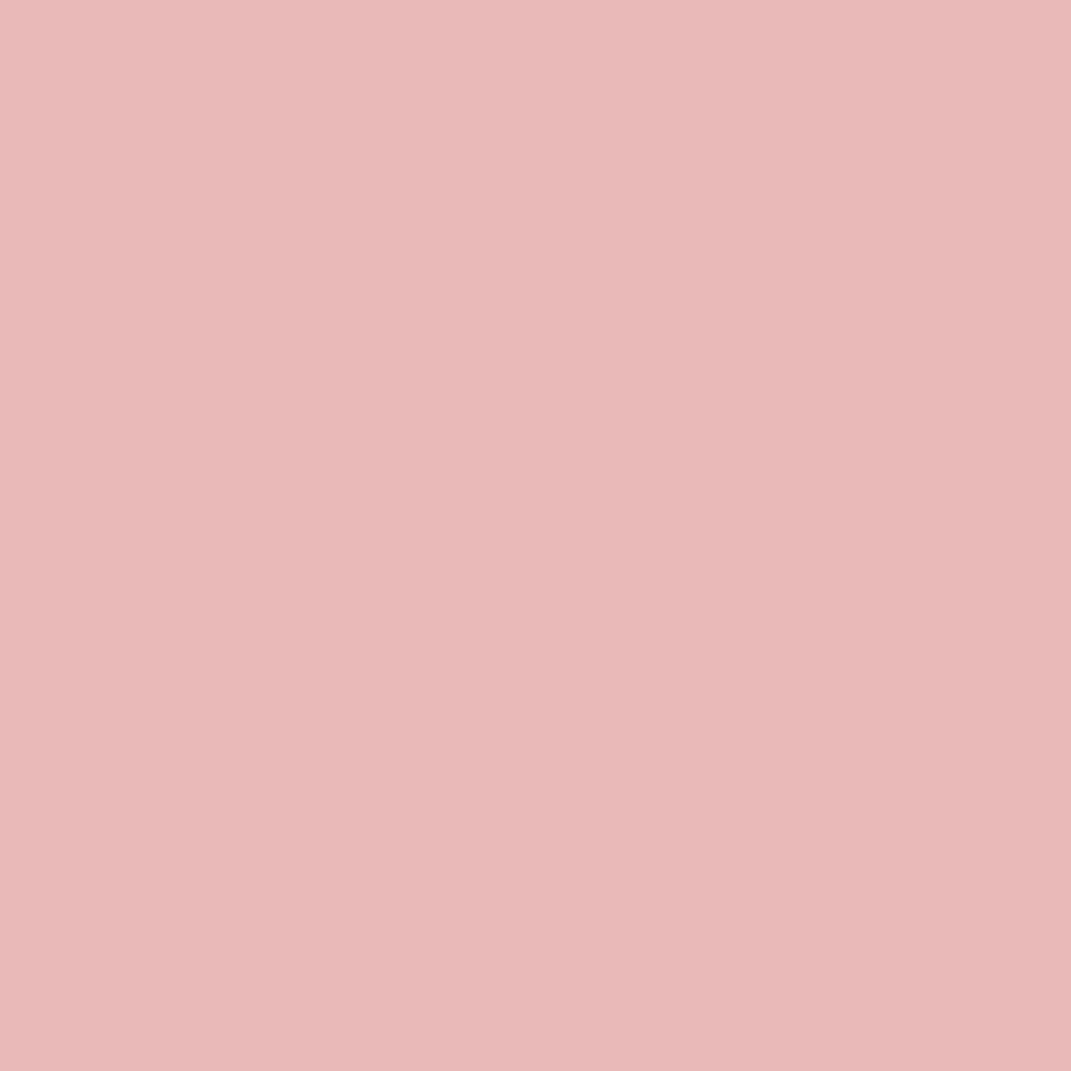 退紅の色見本（#E9B9B8）