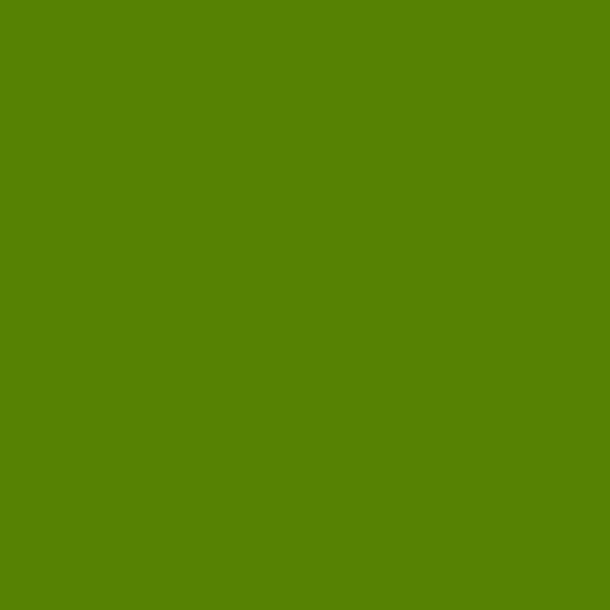 アヴォカの色見本（#568203）