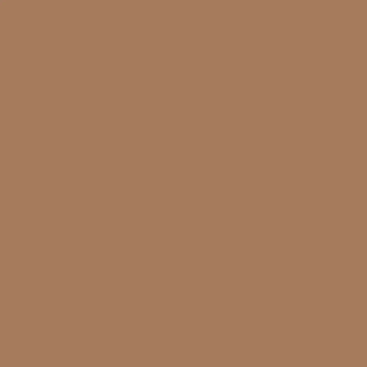 カフェオレの色見本(#A67B5B)