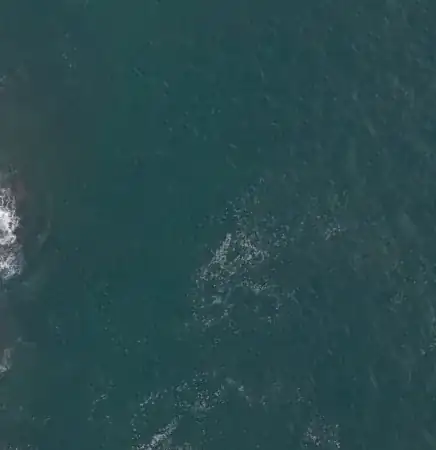 An aerial view of a small rocky island covered with green vegetation, surrounded by deep blue ocean.