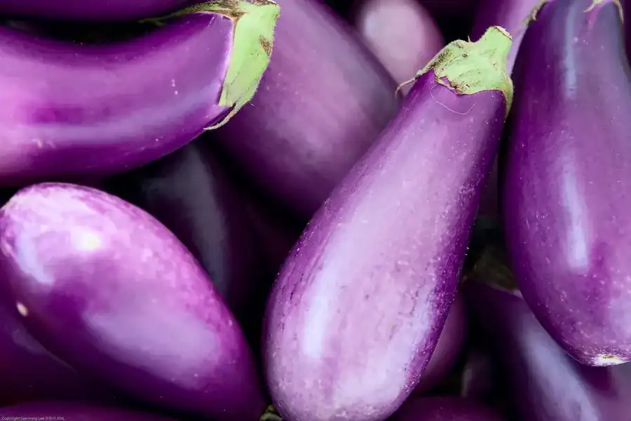茄子