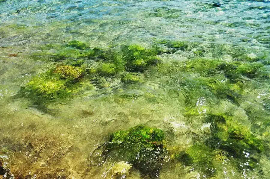 Sea Green