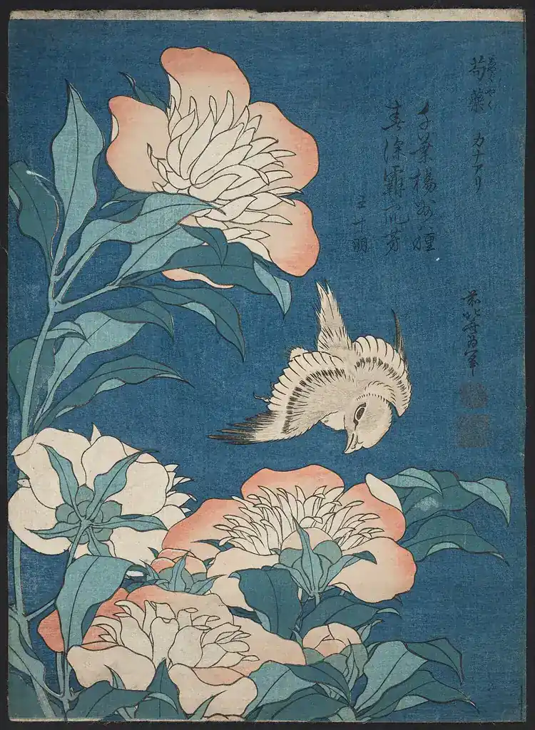 葛飾北斎《牡丹に金糸雀》の多色摺り木版画